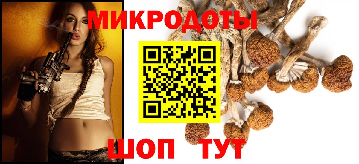 купить  сайты  Псилоцибиновые грибы прущие грибы  Вход с VPN  Малгобек 
